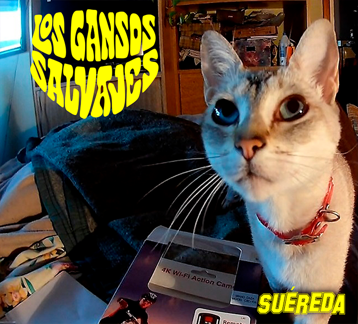 Disco Suérda
